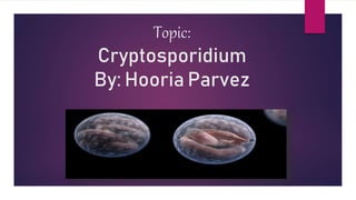 Topic:
Cryptosporidium
By: Hooria Parvez
 