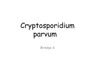 Cryptosporidium
parvum
Brindya S
 