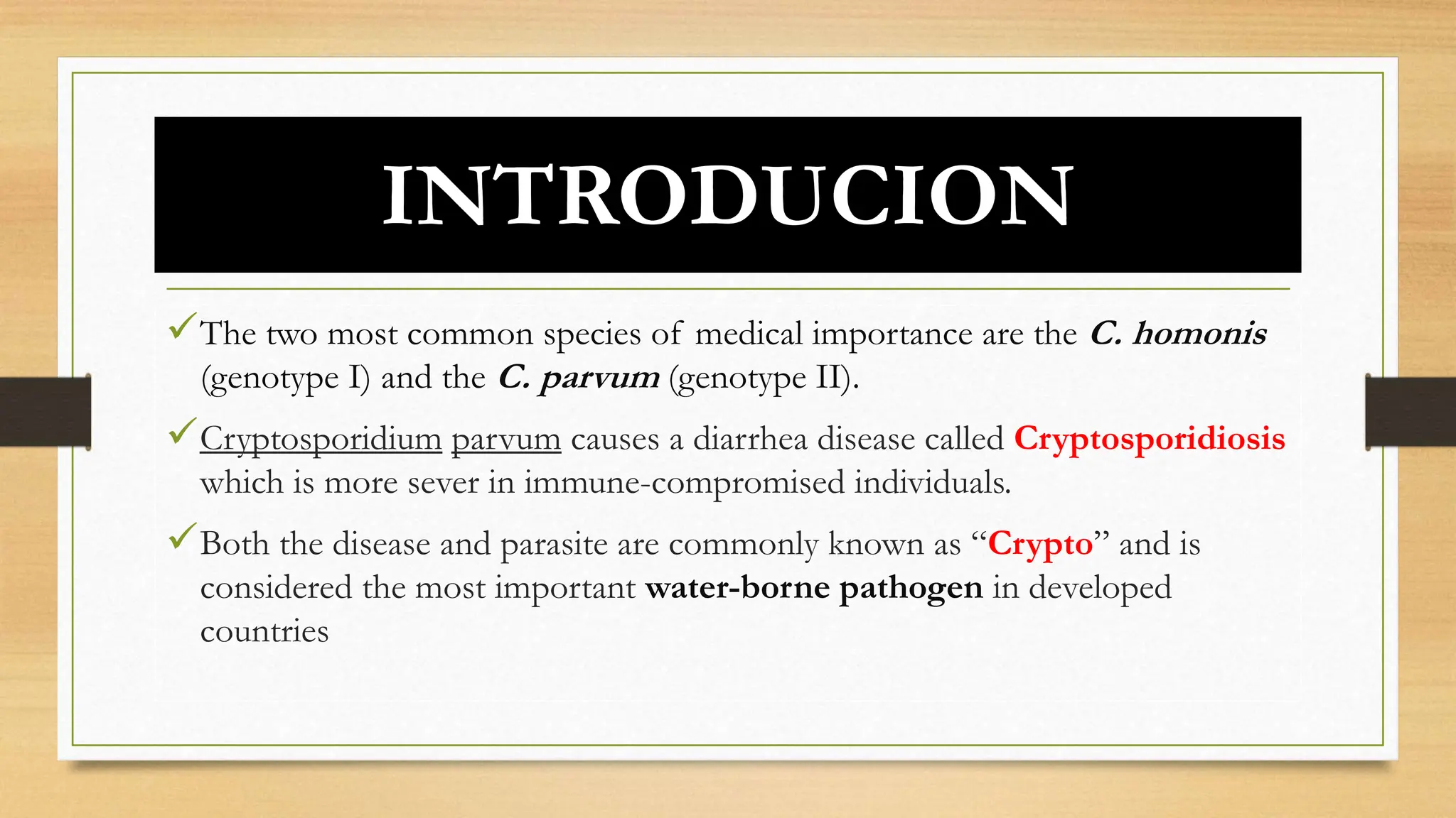 Symptoms of crypto parasite (85) foto