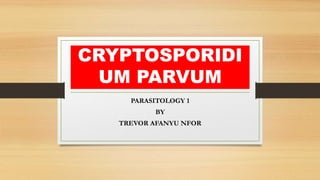 CRYPTOSPORIDI
UM PARVUM
PARASITOLOGY 1
BY
TREVOR AFANYU NFOR
 