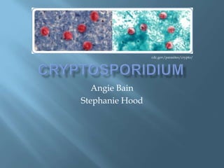 cdc.gov/parasites/crypto/




   Angie Bain
Stephanie Hood
 