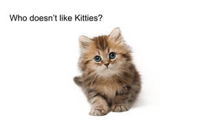 Who doesn’t like Kitties?
 