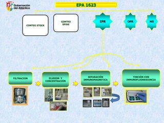 EPA 1623

CONTEO STOCK

FILTRACION

CONTEO
SPIKE

ELUSION Y
CONCENTRACIÓN

IPR

SEPARACIÓN
INMUNOMAGNETICA

OPR

MS

TINCIÓN CON
INMUNOFLUORESCENCIA

 
