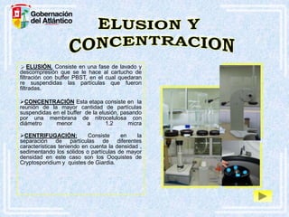  ELUSIÓN. Consiste en una fase de lavado y
descompresión que se le hace al cartucho de
filtración con buffer PBST, en el cual quedaran
re suspendidas las partículas que fueron
filtradas.
CONCENTRACIÓN Esta etapa consiste en la
reunión de la mayor cantidad de partículas
suspendidas en el buffer de la elusión, pasando
por una membrana de nitrocelulosa con
diámetro
menor
a
1.2
micra
CENTRIFUGACIÓN:
Consiste
en
la
separación de partículas de diferentes
características teniendo en cuenta la densidad ,
sedimentando los sólidos o partículas de mayor
densidad en este caso son los Ooquistes de
Cryptosporidium y quistes de Giardia.

 