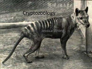 Cryptozoology
Jessica Strong
 