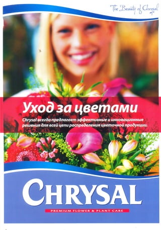 Crysal