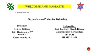 1
Presenter:
Minraj Ghimire
BSc. Horticulture 3rd
semester
Exam Roll No.: 03
A presentation on:
Chrysanthemum Production Technology
Assigned by :
Asst. Prof. Mr. Bikash Khanal
Department of Horticulture
TU, IAAS
MRMC, ILAM
 