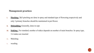 i. Pinching: 2&3 pinching are done in spray and standard type of flowering respectively and
only 3 primary branches should be maintained in pot flower.
ii. Disbudding: Generally, done in sept.
iii. Staking: For standard, number of stakes depends on number of main branches. In spray type,
3-4 stakes are inserted
iv. Mulching
v. weeding
10
 