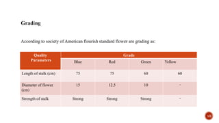 According to society of American flourish standard flower are grading as:
13
Quality
Parameters
Grade
Blue Red Green Yellow
Length of stalk (cm) 75 75 60 60
Diameter of flower
(cm)
15 12.5 10 -
Strength of stalk Strong Strong Strong -
 