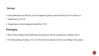  Chrysanthemum cut flowers can be wrapped in plastics and stored dry for 6-8 weeks at a
temperature of -0.5℃.
 Temperature of truck shipment should be 2-4℃.
Packaging
 Most of the standard chrysanthemum are placed in sleeves and packed in display boxes.
 For bulk packing of sprays, 10, 15 or 20 stems are placed in sleeves according to the grades
14
 