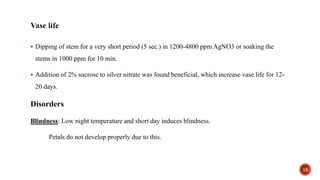  Dipping of stem for a very short period (5 sec.) in 1200-4800 ppm AgNO3 or soaking the
stems in 1000 ppm for 10 min.
 Addition of 2% sucrose to silver nitrate was found beneficial, which increase vase life for 12-
20 days.
Disorders
Blindness: Low night temperature and short day induces blindness.
Petals do not develop properly due to this.
15
 