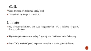  Good textured well drained sandy loam
 The optimal pH range is 6.5 – 7.5.
Climate
 Day temperature of 22℃ and night temperature of 16℃ is suitable for quality
flower production.
 Higher temperature causes delay flowering and the flower color fade away
 Use of CO2 (600-900 ppm) improves the color, size and yield of flower.
6
 