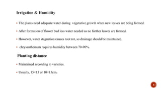  The plants need adequate water during vegetative growth when new leaves are being formed.
 After formation of flower bud less water needed as no further leaves are formed.
 However, water stagnation causes root rot, so drainage should be maintained.
 chrysanthemum requires humidity between 70-90%.
Planting distance
 Maintained according to varieties.
 Usually, 15×15 or 10×15cm₂
8
 