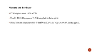  FYM requires about 18-20 MT/ha
 Usually 20:20:10 gm per m² N:P:K is applied for better yield.
 Micro nutrients like foliar spray of ZnSO4 at 0.25% and MgSO4 at 0.5% can be applied.
9
 