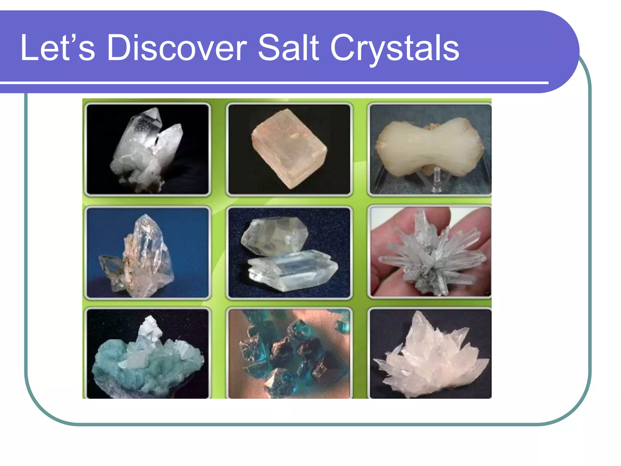 Let’s Discover Salt Crystals