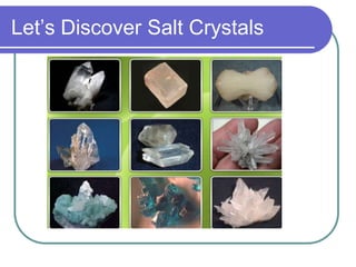 Let’s Discover Salt Crystals
 