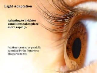Light Adaptation
Adapting to brighter
conditions takes place
more rapidly.
*At first you may be painfully
surprised by the featureless
blaze around you
 