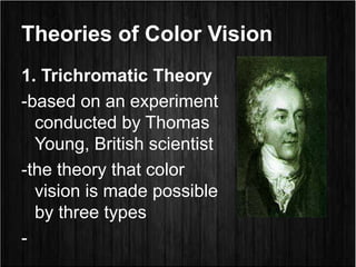 Theories of Color Vision
1. Trichromatic Theory
-based on an experiment
conducted by Thomas
Young, British scientist
-the theory that color
vision is made possible
by three types
-
 