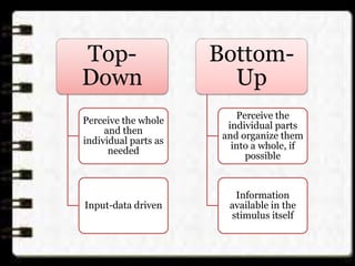 Top-
Down
Perceive the whole
and then
individual parts as
needed
Input-data driven
Bottom-
Up
Perceive the
individual parts
and organize them
into a whole, if
possible
Information
available in the
stimulus itself
 
