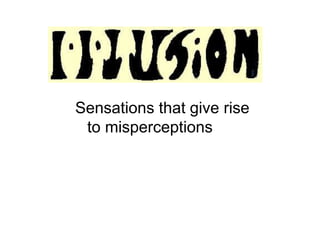 Sensations that give rise
to misperceptions
 