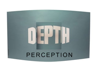 PERCEPTION
 