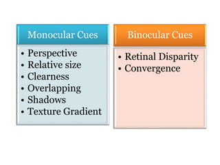 Monocular Cues
• Perspective
• Relative size
• Clearness
• Overlapping
• Shadows
• Texture Gradient
Binocular Cues
• Retinal Disparity
• Convergence
 