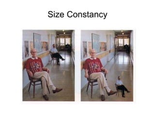 Size Constancy
 