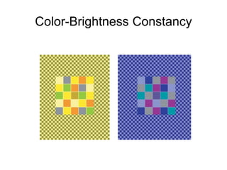 Color-Brightness Constancy
 