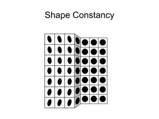 Shape Constancy
 