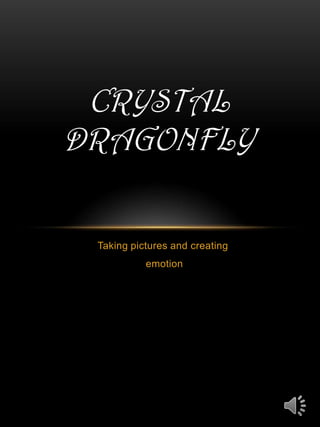 CRYSTAL
DRAGONFLY

 Taking pictures and creating
           emotion
 