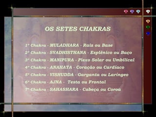 OS SETES CHAKRAS
1º Chakra - MULADHARA - Raiz ou Base
2º Chakra - SVADHISTHANA - Esplênico ou Baço
3º Chakra - MANIPURA - Plexo Solar ou Umbilical
4º Chakra - ANAHATA - Coração ou Cardíaco
5º Chakra - VISHUDDA - Garganta ou Laríngeo
6º Chakra - AJNA - Testa ou Frontal
7º Chakra - SAHASHARA - Cabeça ou Coroa

 