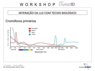 Cromóforos primários
INTERAÇÃO DA LUZ COM TECIDO BIOLÓGICO
 