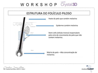 ESTRUTURA DO FOLÍCULO PILOSO
 