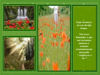 Tudo acontece
no seu devido
tempo.
Nós seres
humanos, é que
nos tornamos
ansiosos e
estamos
constantemente
querendo
“ empurrar o
rio ”.
 