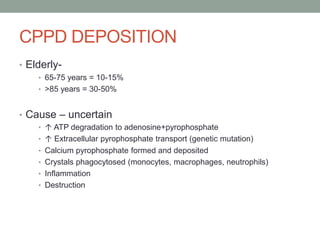 CPPD DEPOSITION
• Elderly-
• 65-75 years = 10-15%
• >85 years = 30-50%
• Cause – uncertain
• ↑ ATP degradation to adenosine+pyrophosphate
• ↑ Extracellular pyrophosphate transport (genetic mutation)
• Calcium pyrophosphate formed and deposited
• Crystals phagocytosed (monocytes, macrophages, neutrophils)
• Inflammation
• Destruction
 