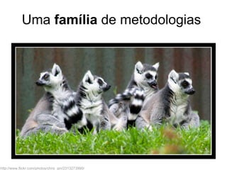 Uma família de metodologias




http://www.flickr.com/photos/chris_gin/2313273990/
 