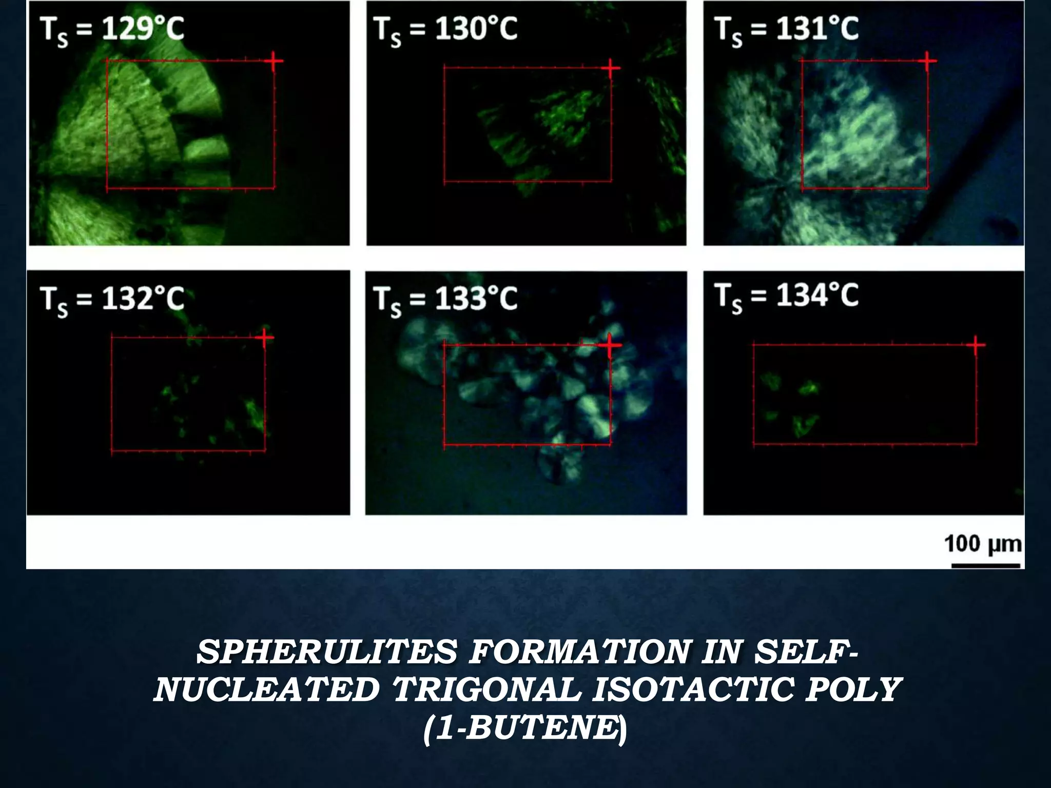 SPHERULITES FORMATION IN SELF-
NUCLEATED TRIGONAL ISOTACTIC POLY
(1-BUTENE)
 