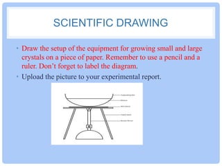 SCIENTIFIC DRAWING
• Draw the setup of the equipment for growing small and large
crystals on a piece of paper. Remember to use a pencil and a
ruler. Don’t forget to label the diagram.
• Upload the picture to your experimental report.

 