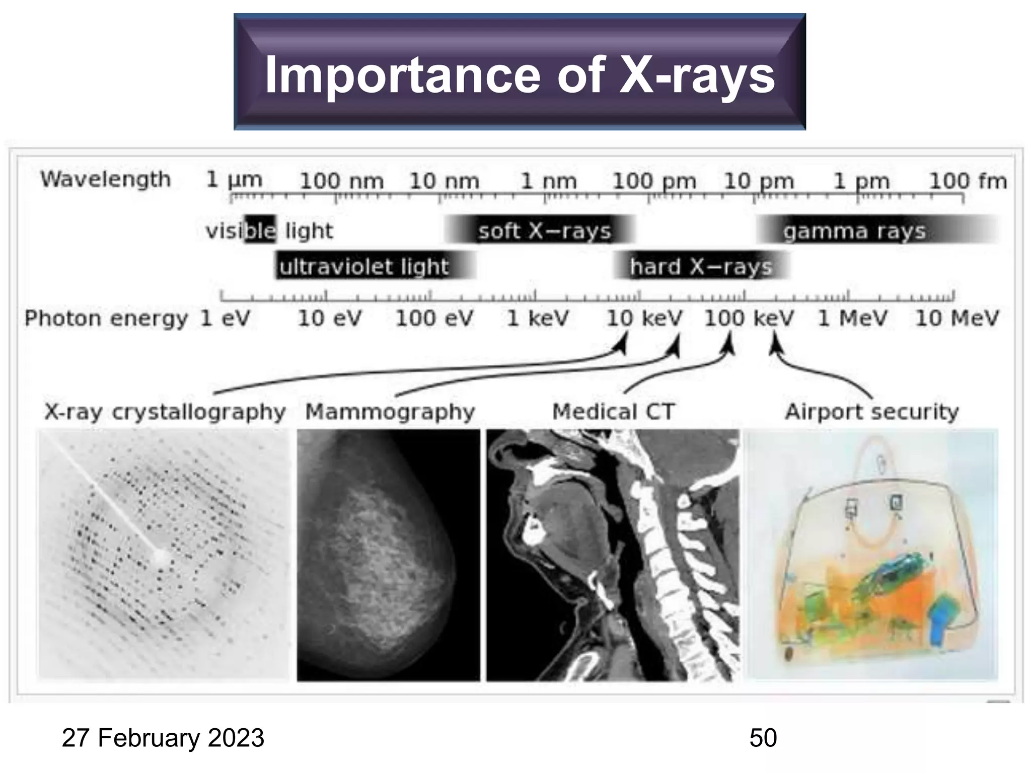 Importance of X-rays
27 February 2023 50
 