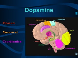 Dopamine Pleasure Movement Coordination  