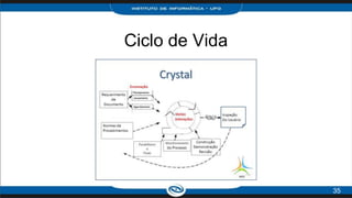 Ciclo de Vida
35
 