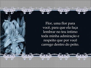 Flor, uma flor para
 você, para que ela faça
 lembrar no teu íntimo
toda minha admiração e
  respeito que por você
carrego dentro do peito.
 