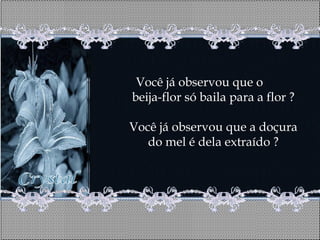 Você já observou que o
beija-flor só baila para a flor ?

Você já observou que a doçura
   do mel é dela extraído ?
 