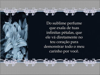 Do sublime perfume
   que exala de tuas
 infinitas pétalas, que
 ele vá diretamente no
    teu coração para
demonstrar todo o meu
   carinho por você.
 