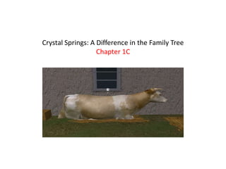 Crystal Springs: A Difference in the Family Tree
Chapter 1C
 