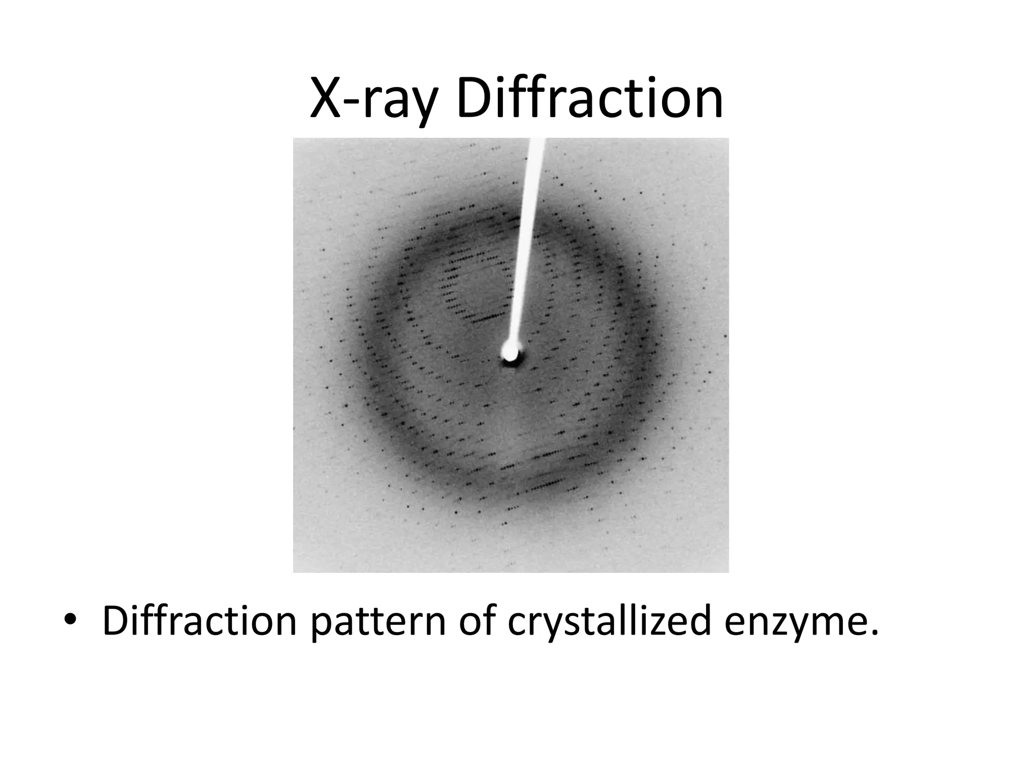 X-ray Diffraction
• Diffraction pattern of crystallized enzyme.
 