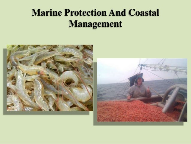 CRZ Coastal and Marine Areas Notifications