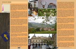 CONTINUACIÓ JORNADA
2014 - CAMINO VASCO INTERIOR
40
30
35
45
50
60
55
Una parada per descansar i beure sota uns arbres
en un seient de troncs aprofitant que no plou . Fang,
bassals, asfalt, terra. Una hora més tard arribo a un
aparcament sota un turó. El camí puja al cim entre
boires on anuncien una ermita. Arrisco i passo de
llarg: segueixo per la pista; efectivament el camí
torna a baixar. Era Santiagomendi (alberg que jo
suposava a baix).
La baixada a Astigarraga és un calvari: llarga, cons-
tant, molt pendent. Eterna fins al pla. Allà, on no
hi havia d’haver res, ara és ple de blocs de pisos
nous i gent. Pregunto per Astigarraga a un home
gran assegut en una terrassa de bar: ja m’he pas-
sat. Sembla caminant, però és del lloc. Xerrem. Amb
bona voluntat intenta trobar-me un lloc per dormir.
I truca (amb el meu mòbil) a un hostal. Oye, soy Eu-
sebio: El de la Dolores, si!
Res, no hi ha ni un forat als dos hostals que coneix.
Llavors maleeix el festival ese de Hernani, el culpa-
ble del problema. Hernani no té alberg, i els hostals
són plens: hi ha una fira de productes de la terra i
altres coses i els firaires omplen els allotjaments.
Cal dinar com sigui i seguir 10 km més fins a An-
doain. A Hernani se sent la música de la fira a la
meva dreta i es veu moviment festiu.
L’experiència em diu que no tempti al destí i si tro-
bo un lloc per menjar l’agafi. Hi ha una taverna -tot
són tavernes (taberna)- amb taules buides i pintxos
a la barra. Tres pintxos i una canya. Descobreixo
que les canyes, aquí, són més grans que les cerve-
ses. M’afilio al gremi de la canya. Un altre pinxo i
una altra canya. Després de reconstruir-me -motxi-
lla, capelina, barret- torno a caminar. Mentre dinava
ha plogut. Tardarà poc a tornar-hi.
Creuo una plaça, ara amb les parades tancades.
“Lord del Formatge”, diu una. Els pocs firaires que
queden es fan bromes mentre recullen i tanquen,
també han de dinar.
Aquí -en algun punt d’Hernani- surt una variant del
camí, de la que no he trobat massa informació. Si
que queda clar que té menys serveis i és més fe-
réstega. Les condicions del moment no permeten
ni plantejar-me-la. En tot cas no n’he vist ni rastre
enlloc. És la variant que passa a tocar de Loyola. Jo
sempre he estat d’Elgorriaga (un poble navarrès).
Aixoplugat sota l’autovia, confirmo que, com a mí-
nim, no m’he equivocat; vaig per bon camí. Trobo
un camí de riu, una artèria de mobilitat esplèndida
que marxa amunt. Ja en parlarem.
Andoain
17:00. Alberg municipal
Plou. No pararà fins a Andoain; 10 km de pluja per
havent dinat van bé. Tot i que aquest tram és un
camí de colesterol i moltes altres utilitats, ni l’hora
ni el temps fan que hi hagi gent. Un parell de joves,
que caminen amb molt poca cosa, venen de baixa-
da. Paro a xerrar-hi un moment i un em demana si
puc parlar-li en anglès. I jo que els feia bascos! Són
dos israelians que venen de Santo Domingo i volen
anar a dormir a Santiagomendi. No els queda res!
El camí desfila entre el riu i els polígons, general-
ment endreçat. En els punts on es produeix el salt
de terme, el canvi de municipi, és on solen haver-hi
més problemes. Mala senyalització, diferents estats
de les infraestructures, etc. El de sempre. A An-
doain ha deixat de ploure. Jo ja vaig xop fins ben
amunt. He hagut d’anar traslladant el mòbil i la car-
tera a butxaques i llocs més protegits, ja que els
pantalons no garanteixen la seguretat hídrica que
el mòbil i els bitllets mereixen.
Evidentment, a l’alberg no m’esperava ningú. Un
cartell a la porta diu que al carrer d’Extremadura
hi ha la policia local, on donen les claus. Un mal
croquis ho explica. Els carrers son irregulars, a
voltes amb escales. A la fi ho trobo. Em donen les
claus després d’omplir fitxa i segellar la credencial.
Demà al marxar he de tornar-les.
Sóc sol a l’alberg. Tota una escola d’infants per a
mi sol. Els llits a l’aula de les nenes. Els serveis
escales amunt, al sector dels nens. I dic nens per-
què els urinaris de dalt eren allà a baix, a un pam
del terra. I cada cop que calia, apa, escales amunt
i escales avall, obrir i tancar la porta amb la clau. I
apuntar bé.
El poble era mort, poca gent al carrer. Un bar obert,
tranquil, amb un grup que sembla de vídues (sis
dones i un home) fent-la petar i esperant per bere-
nar una truita de patates (horrorosa si era com la
meva) i una copa de crianza. Una parella gran seu
sola ran del vidre en una altra taula. Ell xafardejant
i criticant-ho tot. Ella donant-li la raó sempre. La de
segles que deu fer que dura la cosa.
El carrer era inhòspit, podia ploure a qualsevol mo-
ment. Portava molts km a coll i un fart de pujar i bai-
xar. Qualsevol se’n va a passejar. Pregunto si tenen
infusions rares: un roiboos. I més tard un pintxo
de truita de patates -ja ho he dit, horrorosa- i una
canya.
En un moment que no plou fotografio i passejo per
les voreres mòbils del carrer i retorno a l’alberg.
Comprovo que la roba molla s’eixuga, constato que
l’estufa no va; escales amunt, escales avall, llegir
i planificar la jornada següent. I ja fa dos dies que
solament menjo entrepans i pintxos.
6 7
 