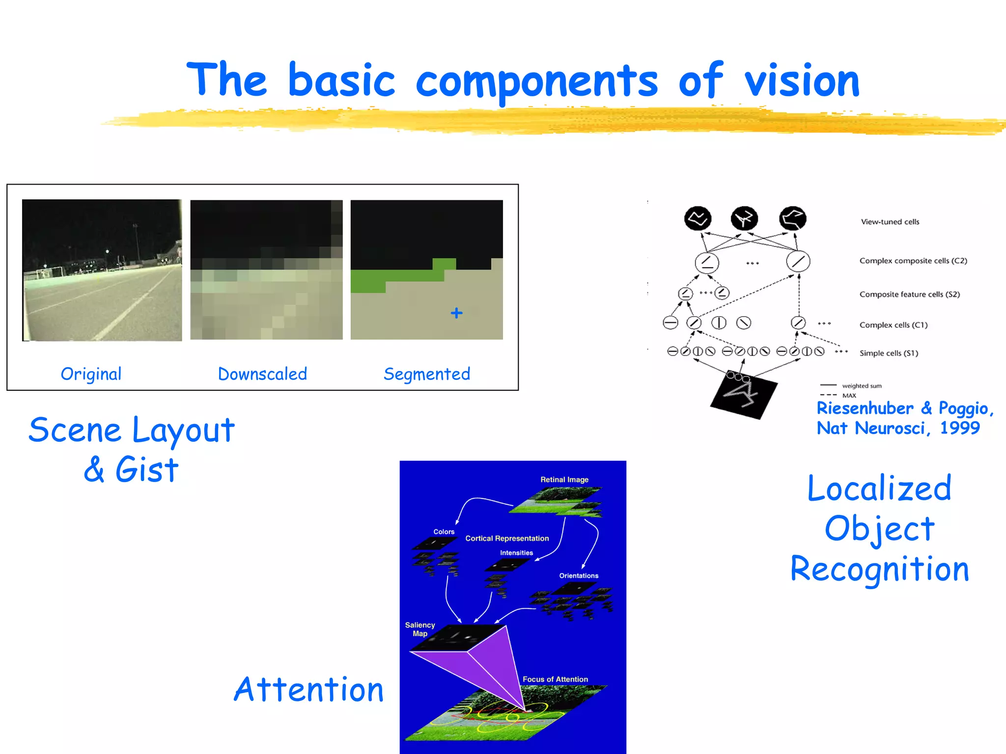 The basic components of vision Attention Localized Object Recognition Scene Layout & Gist Riesenhuber & Poggio, Nat Neurosci, 1999 Original  Downscaled  Segmented + 