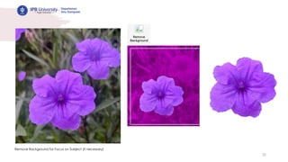 30
Remove Background for Focus on Subject (if necessary)
 